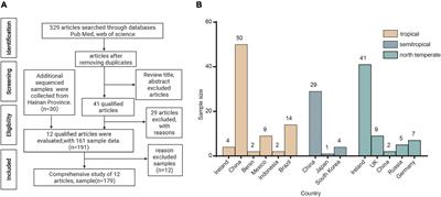 Two sides of the same coin: Meta-analysis uncovered the potential benefits and risks of traditional fermented foods at a large geographical scale